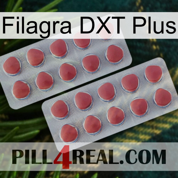 Filagra DXT Plus 19.jpg